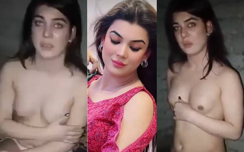 Dolphin Ayan Viral Video Update Today